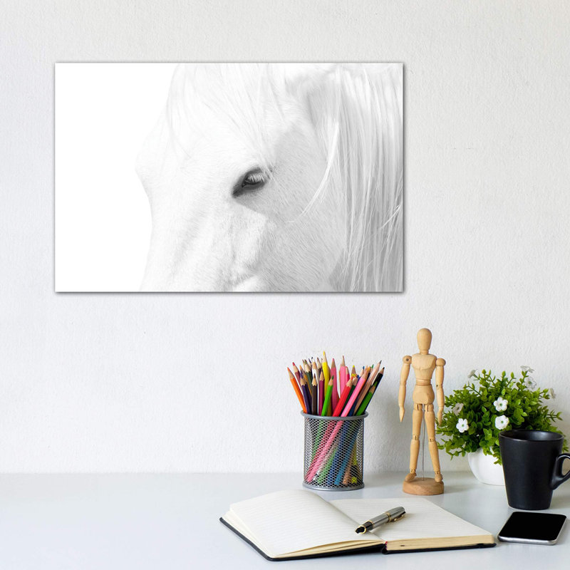 White Horse by Marco Carmassi - Wrapped Canvas Print, 20.32 cm H x 30.48 cm W
