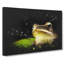 Frog Vol.2 - Wrapped Canvas Print-61886901