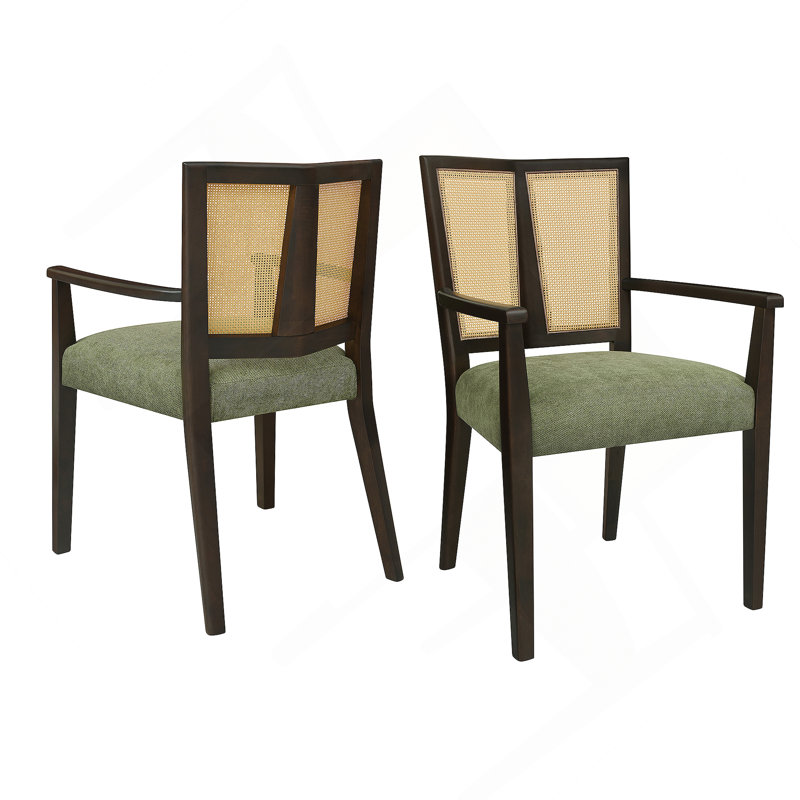 Ensemble de 2 chaises de salle à manger (brun foncé et vert), Marron foncé, Vert