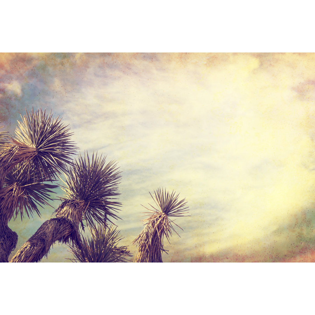 Leinwandbild Vintage Joshua Tree