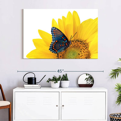 Tournesol Brampt avec papillon