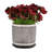 6" Mesh Design Planter W/ Saucer