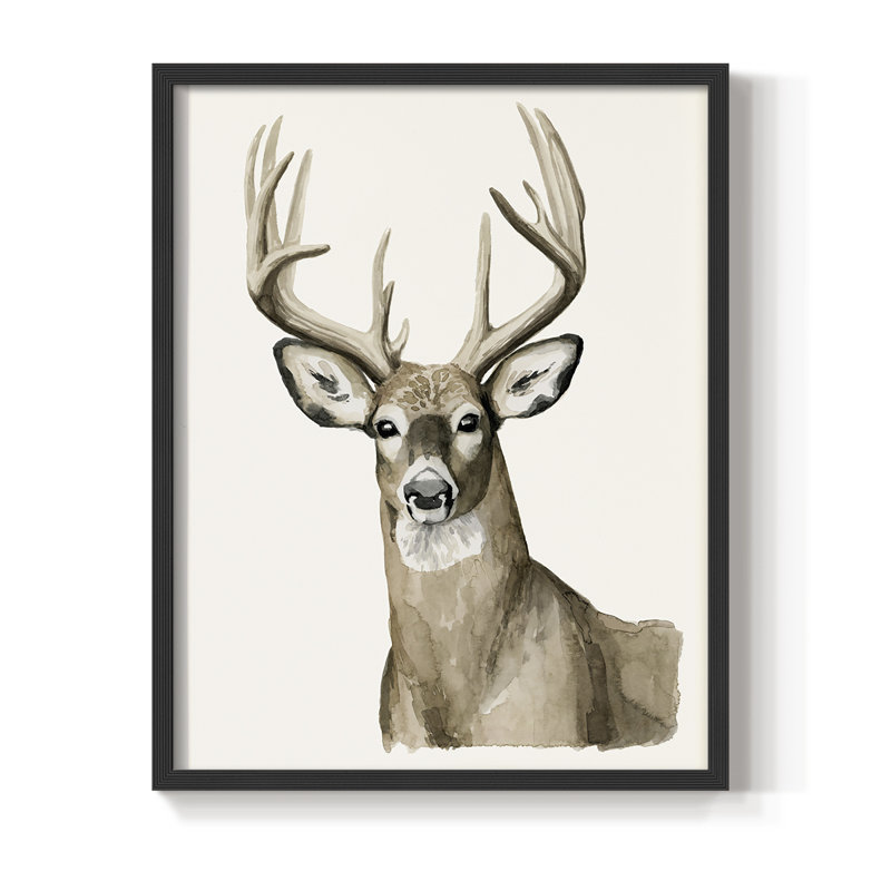 «Handsome Whitetail I», reproduction encadrée - bois massif, H 30 po x l 24 po, Noir, noir, noir, noir