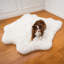  Tapis classique Puprug-1257351642-1269633938