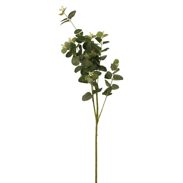 Arrangement