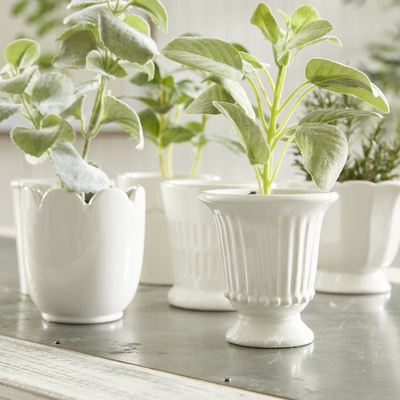 Mirabelle Ceramic Planter