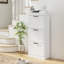 Armoire à chaussures HOMcom