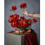 Ensemble de dahlia 17 po-86903295