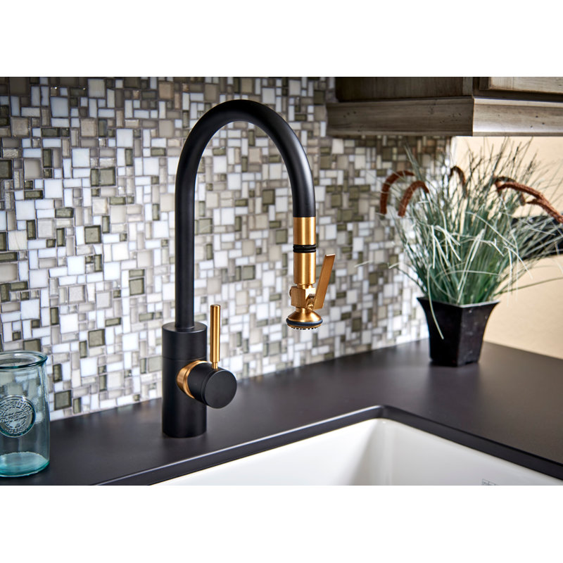 Contemporary Plp Pulldown Faucet - Lever Sprayer