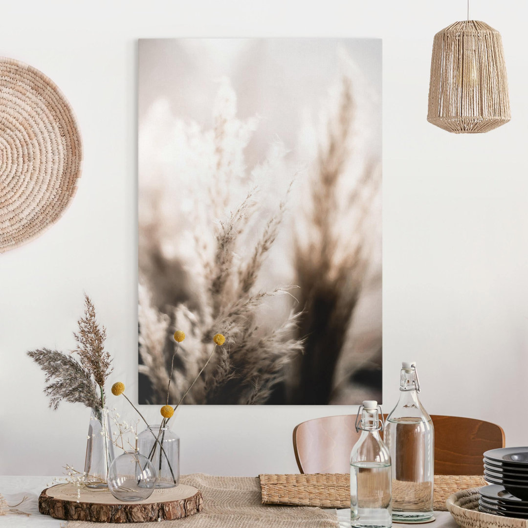 Leinwandbild Pampas Grass in the Shade von Monika Strigel