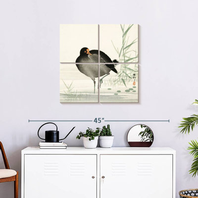 Brampt Moorhen