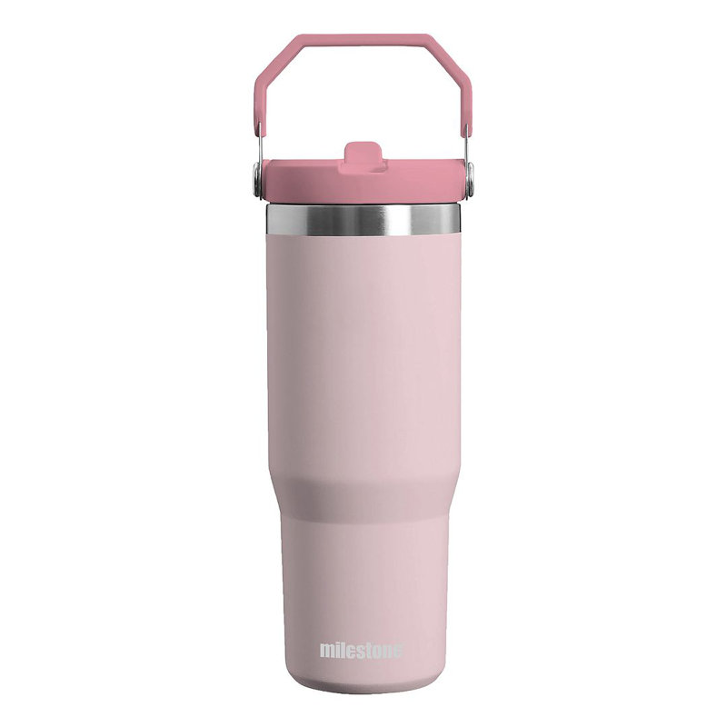Milestone 890ml Double Wall Insulated Stainless Steel Flip & Sip Bottle, Pink