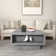 Caomhan Pedestal Coffee Table with Storage