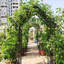 Arche de jardin en métal avec barrière W58,07 * H97,24
