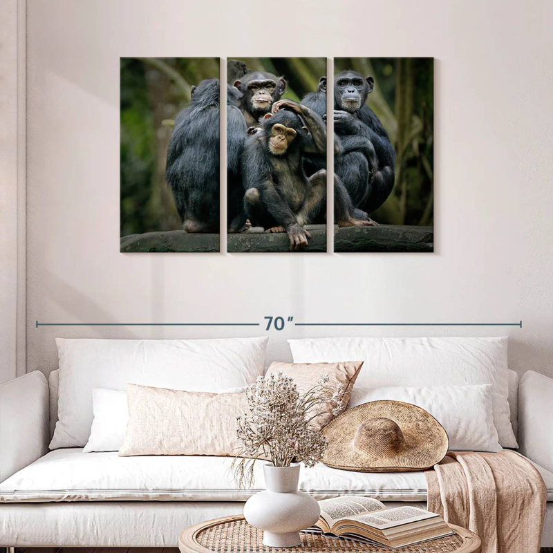 Chimpanzés et bonobos, H 28 po x l 45 po