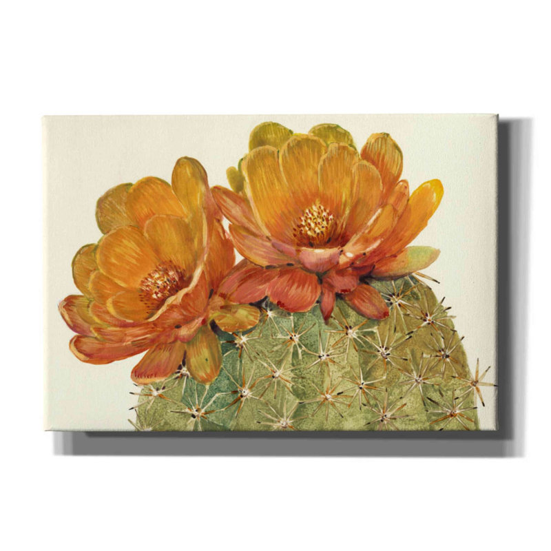 «Cactus Blossoms II» par Tim O'toole, art mural sur toile, H 18 po x l 26 po x P 0,75 po