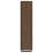 Plasencia 71-Inch 3-Shelf Cabinet Bookcase Walnut