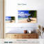 Bois flottant de Paynes Bay Gillard-107888719