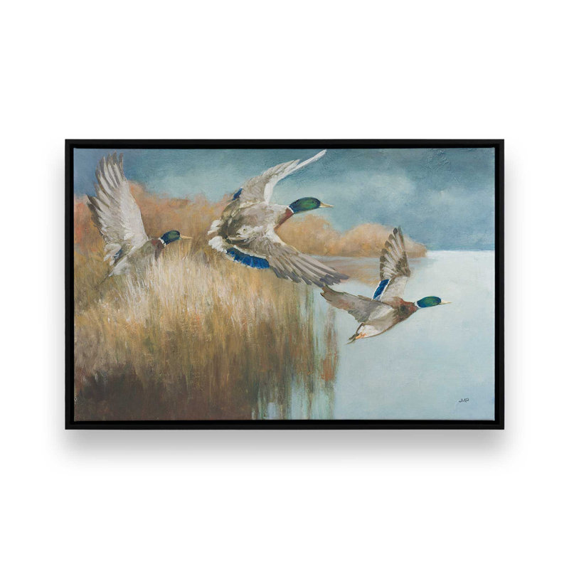 «Wild Wings» par Julia Purinton, reproduction d'art sur toile, Noir, Cadre flottant, H 12 po x l 18 po