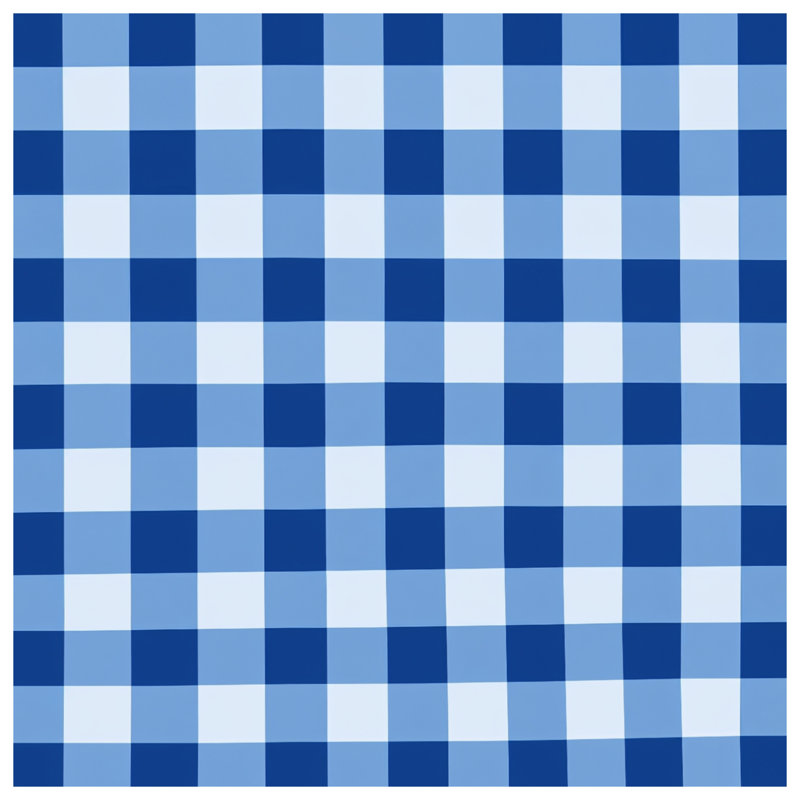 Couvertures en vichy bleues et blanches, 60in W x 80in H