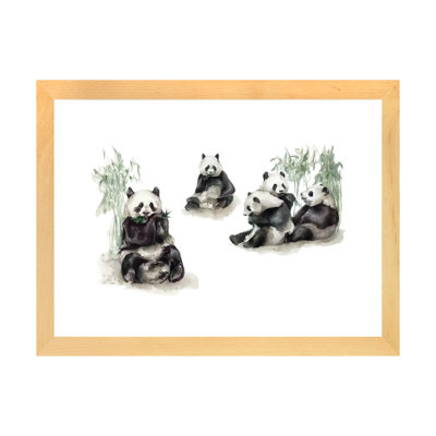 Pandas