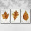 Autumn Leaf Study I - Ensemble de 3 cadres photo simples sur toile-97759149-97759148