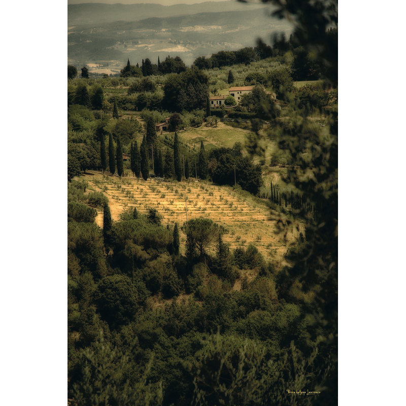 Tuscan Vineyard by Terry Katherine Lawrence - Wrapped Canvas Art Prints, 46cm H x 30cm W x 3.8cm D