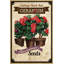 Flower Packet Geranium - Wrapped Canvas Print-1852988099