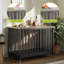 Dog House