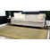 Moore Oriental Indoor Rug