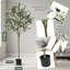 Plant-1480629307