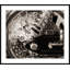 Motorcycle Details 2 Giclee Print by Soicher Marin Archives