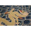 Antique English Pontremoli Needlepoint Rug With a Unique Dragon in the Centre 8'8" x 10'0" Area Rug