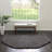 Indoor Rug-1086094840
