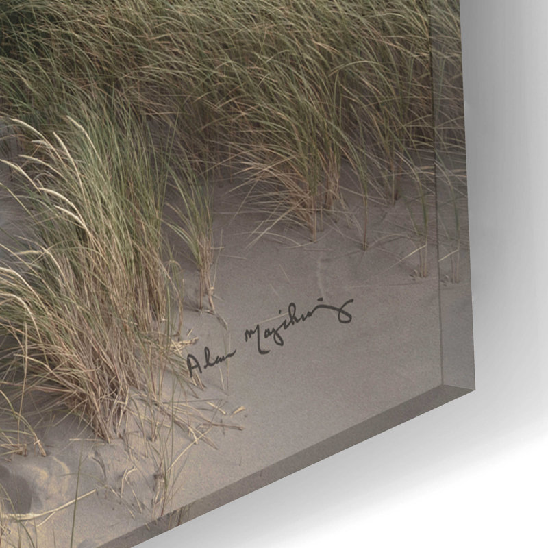 Oregon Dunes par Alan Majchrowicz - photographie non encadrée, H 12 po x l 16 po x P 0,13 po