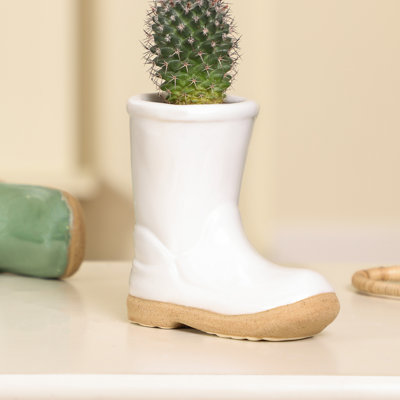 Carlson Ceramic Pot Planter