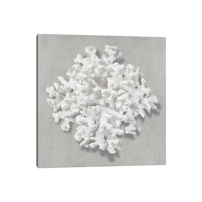 Coral On Grey I by Caroline Kelly - Wrapped Canvas Print