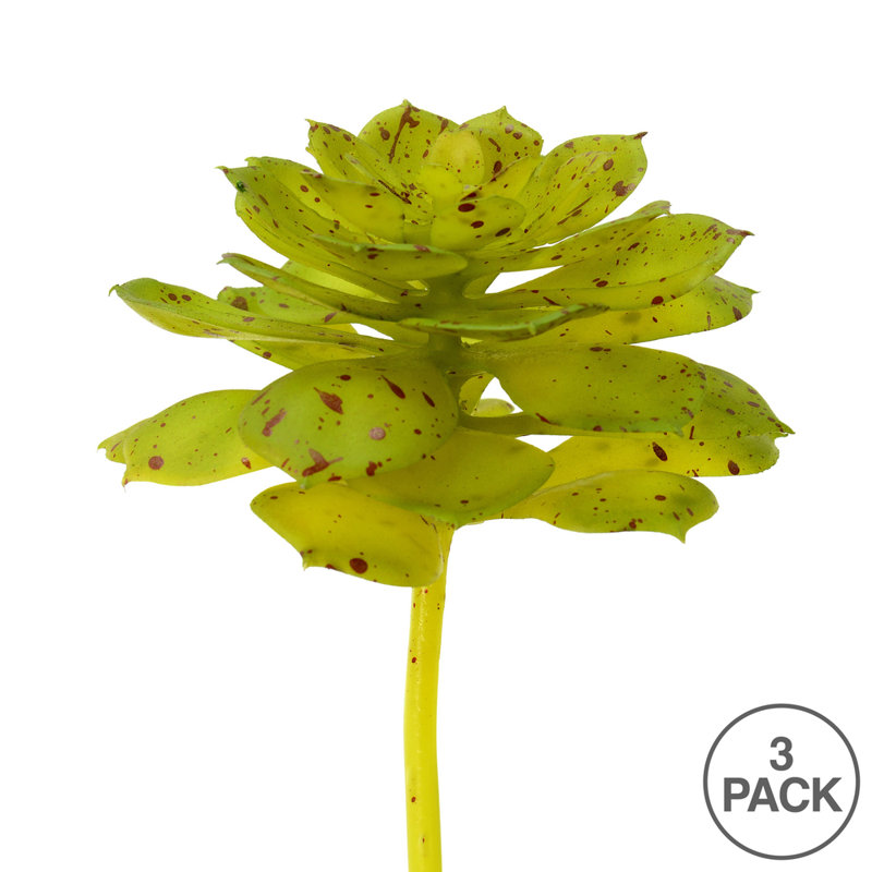 Ensemble de 3 branches artificielles Echeveria