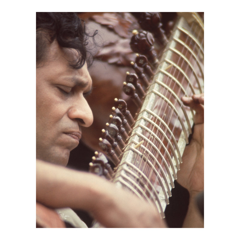" Close-up Of Ravi Shankar ", 20" H x 16" W