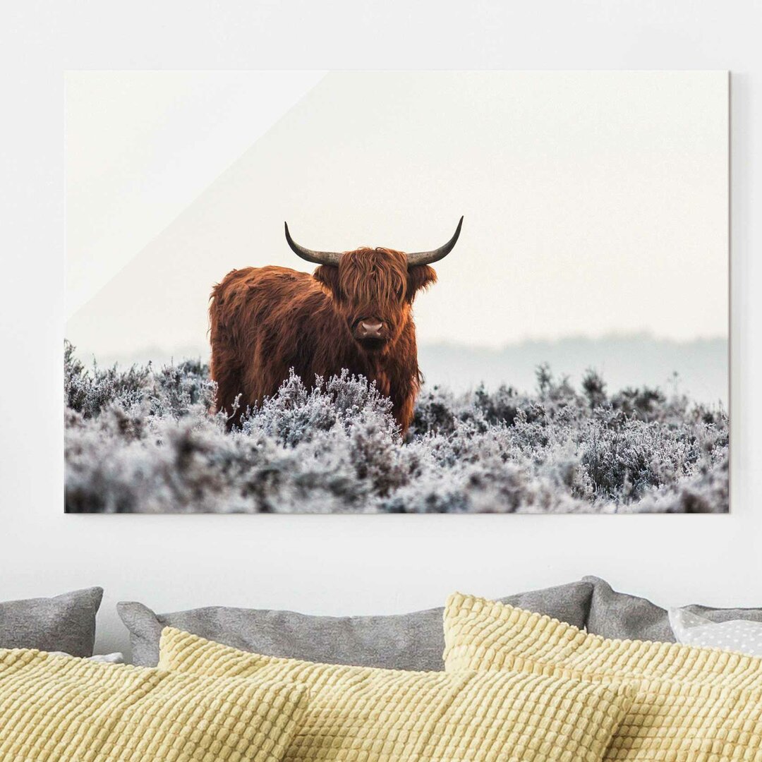 Glasbild Wisent in den Highlands