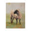 « away from the troupeau ii », peinture sur toile tendue-1241388057