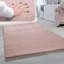 Tiverton Solid Colour Shag Area Rug-779187540