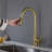 Red Cloud Pull Down Kitchen Faucet-86794331