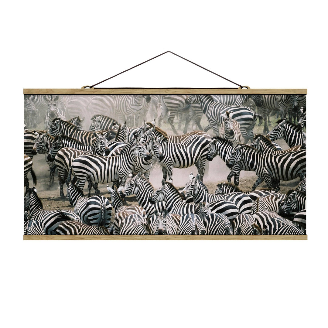 Herd von Zebras, Fotodruck