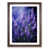Walnut Framed selected