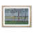 Oak Framed selected