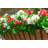 Lifelike Geranium Window Box Filler - Red-1121899502