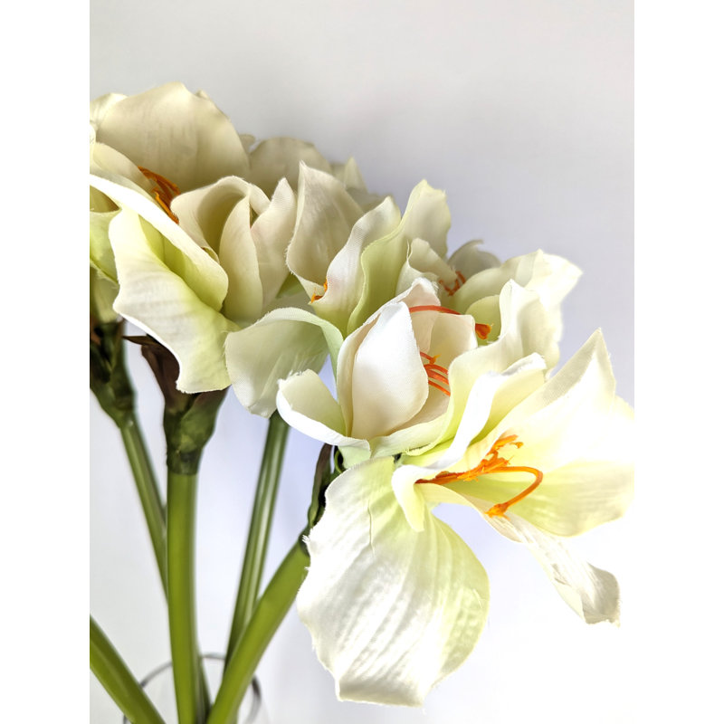 Amaryllis, arrangement floral dans un vase