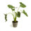 Faux Elephant Ear Plant in Ceramic Pot