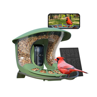 Birdfy 2 Smart Bird Feeder with Camera, Dual-Lens, Solar-Powered, Wireless Installation, Auto-Capture Bird Videos & Motion Detection, Gift Present